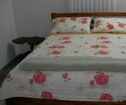 Aruba Bed & Beach