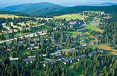 Rogla