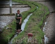 Рисовые поля и спрятанные уютные «закутки» внутри страны