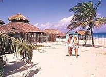 Tropicoco Beach Club