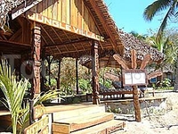Фото отеля Jungle Village