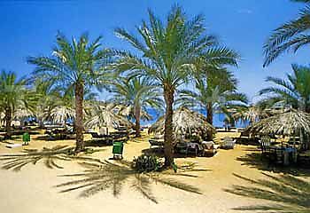 Dessole Seti Sharm Resort