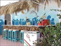 Barracuda Sharm