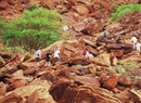 Фото Twyfelfontein Country Lodge