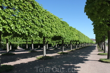 петергоф петергоф