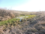Это небольшой ручеек, который протекает по маленькой долине между двумя полями.