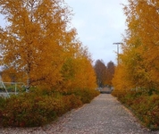 Cottage Lohja