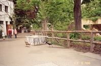 В Пражском Зоопарке