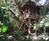 Фотография отеля The Mangrove Garden Restaurant & Accommodation