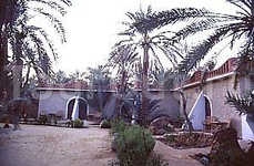 Siwa Safari Paradise Hotel & Tourist Village