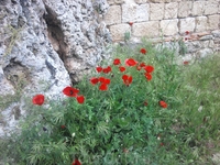 в старом городе в старом городе