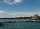 Фото Blackbird Caye Resort
