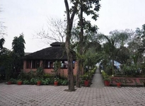 Chitwan Forest Resort