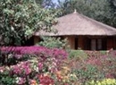 Фото Bougainvillees Resort Saly