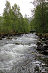 река, спускающаяся с гор в воды Нордфьорда