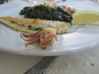Вкусные морские гады