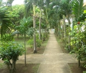 Hidden Paradise Resort