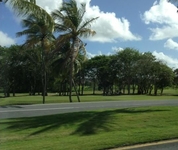 The Woods at Palmas del Mar