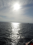 море