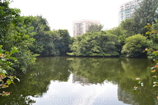 парк бонсай