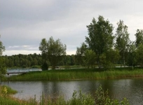 Рассвет Любань (Rassvet Lyuban)