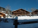 Фото Alpenhof Grindelwald