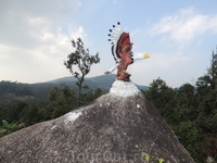 В горах на острове Самуи обитает "орел"