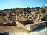 Окрестности Туниса Окрестности Туниса