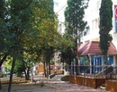 Фото Чайка