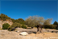 Гардский мост (Пон-дю-Гар, Pont du Gard): римский акведук