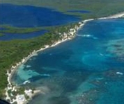 Blackbird Caye Resort