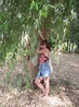 Я и эвкалиптовое дерево