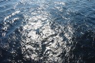 Солнце сверкает в холодной Ладожской воде.