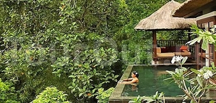 Ubud Hanging Gardens