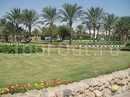 Фото Domina Hotel & Resort Oasis