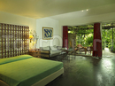 Фото Dionysos Hotel