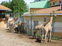 Красноярский парк флоры и фауны