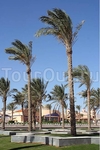 Alba Club Horizon Sharm Resort