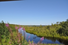 А это уже Вологодская обл. Красота, простор, вода...