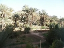 Фото Ksar Tinsouline