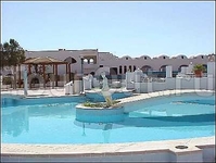 Barracuda Sharm