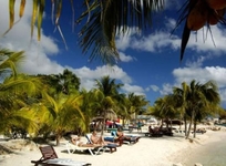 Lions Dive Beach Resort Curacao