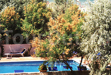 Hotel Villa Furia