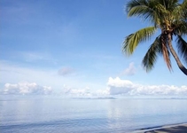 Sheraton Fiji Resort Sheraton Fiji Resort