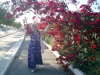 В цветах