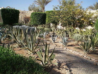 Nubian Village