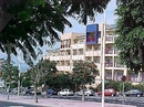 Фото Jacaranda