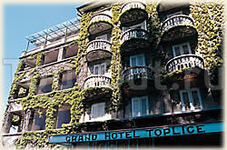 Grand Hotel Toplice