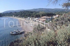 Hotel Franks Hotel Franks