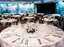 Фото Grand Hyatt Melbourne